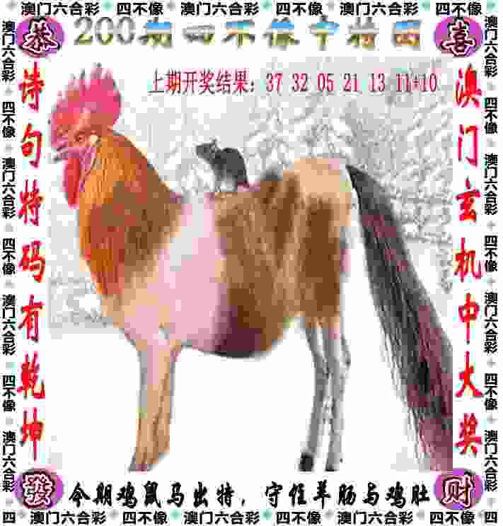 >新奥彩4949最新版本更新内容